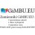 Gimbu TR-2051C Cyan toner laserowy do drukarki Ricoh zamiennik MPC2051/2551 9500str.